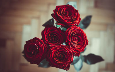 Top 5 Say Romance Movienight Kevin Reviews